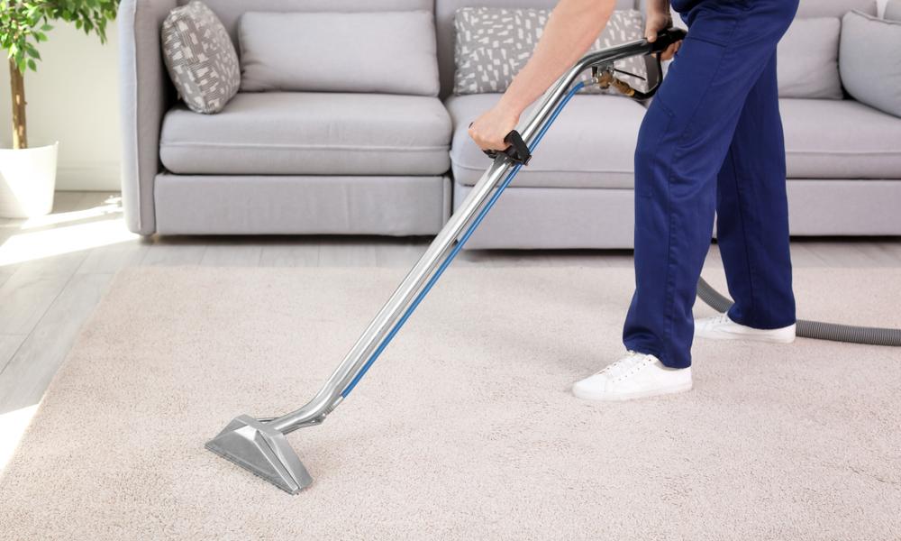 Hiring a Professional Carpet Cleaner